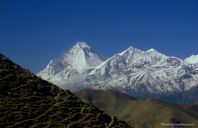 Dhaulagiri