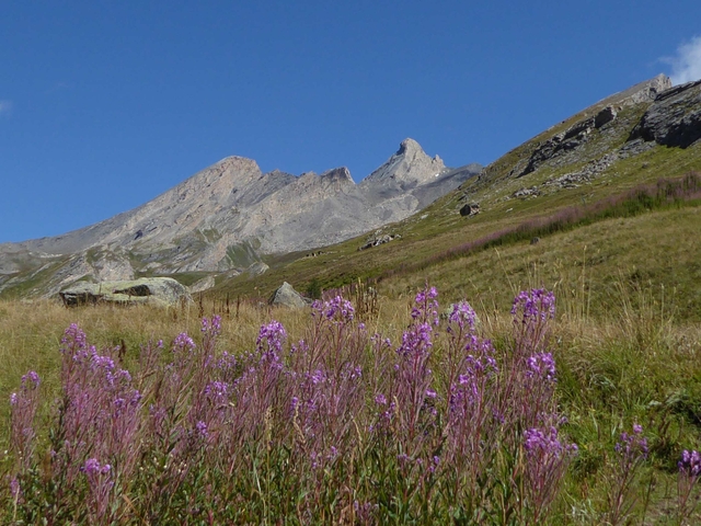 Un paesaggio di altri tempi