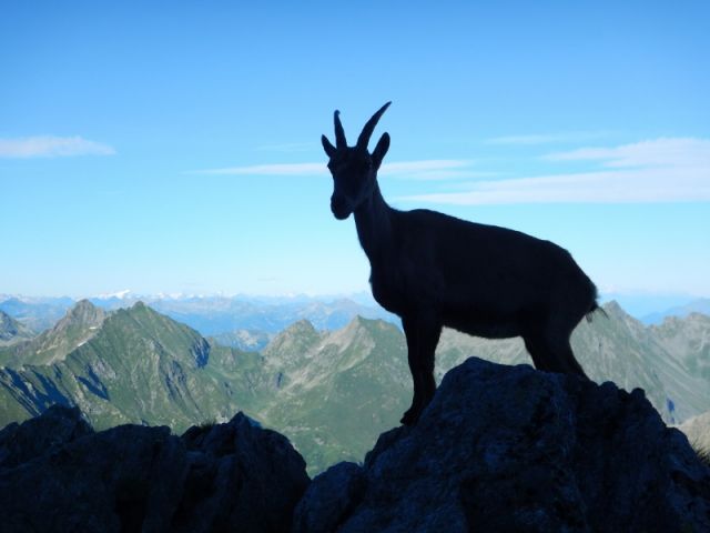 Foto Bagliani Maschietto Pagnoncelli Polo Sanguineti 38