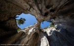 LA GROTTA DEL’EDERA  Da &quot;tempio sacro&quot; del Finalese a parco giochi esclusivo - Un approccio che getta ombre e pone interrogativi sul futuro del rapporto tra arrampicata e natura. Alcune considerazioni sul Red Bull Ivy